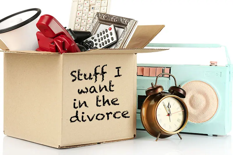 Stuff I Want in the Divorce